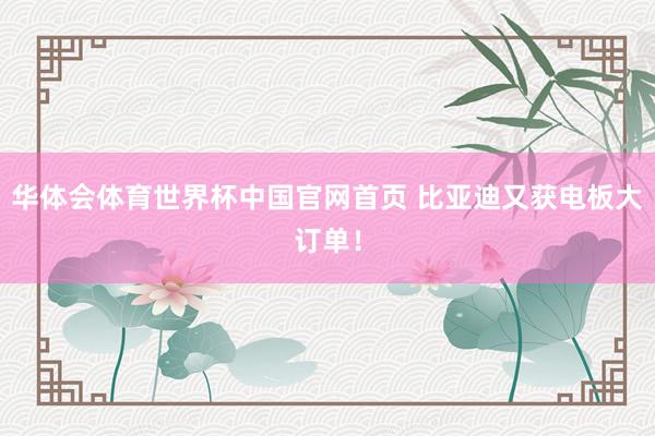 华体会体育世界杯中国官网首页 比亚迪又获电板大订单！