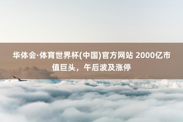 华体会·体育世界杯(中国)官方网站 2000亿市值巨头，午后波及涨停