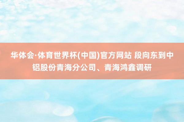 华体会·体育世界杯(中国)官方网站 段向东到中铝股份青海分公司、青海鸿鑫调研