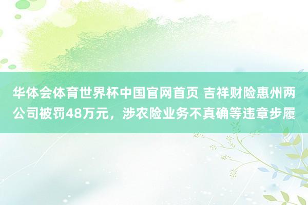 华体会体育世界杯中国官网首页 吉祥财险惠州两公司被罚48万元，涉农险业务不真确等违章步履