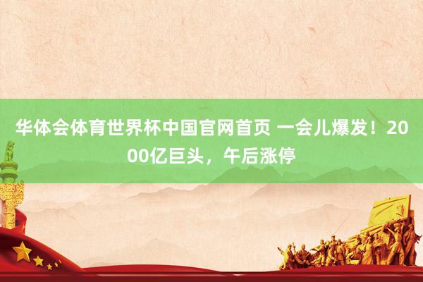 华体会体育世界杯中国官网首页 一会儿爆发！2000亿巨头，午后涨停