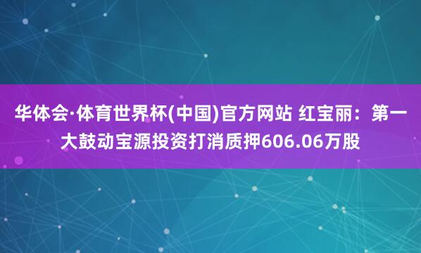 华体会·体育世界杯(中国)官方网站 红宝丽：第一大鼓动宝源投资打消质押606.06万股