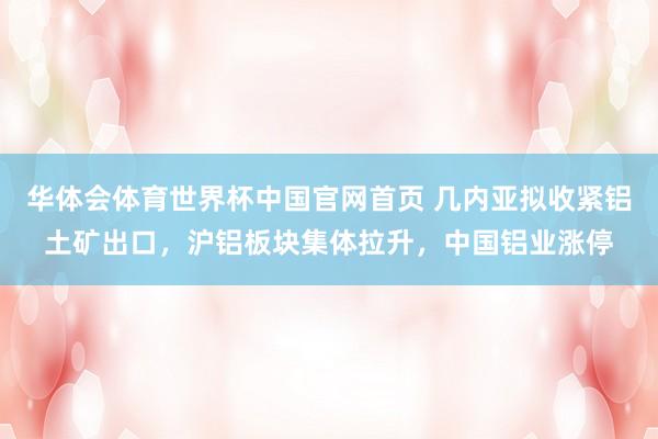 华体会体育世界杯中国官网首页 几内亚拟收紧铝土矿出口，沪铝板块集体拉升，中国铝业涨停