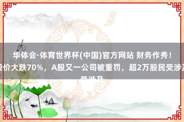 华体会·体育世界杯(中国)官方网站 财务作秀！股价大跌70%，A股又一公司被重罚，超2万股民受涉及