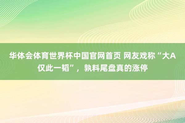 华体会体育世界杯中国官网首页 网友戏称“大A仅此一韬”，孰料尾盘真的涨停