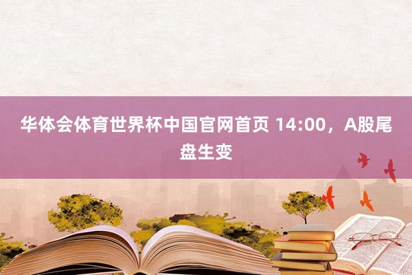华体会体育世界杯中国官网首页 14:00，A股尾盘生变