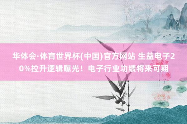 华体会·体育世界杯(中国)官方网站 生益电子20%拉升逻辑曝光！电子行业功绩将来可期