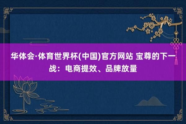 华体会·体育世界杯(中国)官方网站 宝尊的下一战：电商提效、品牌放量