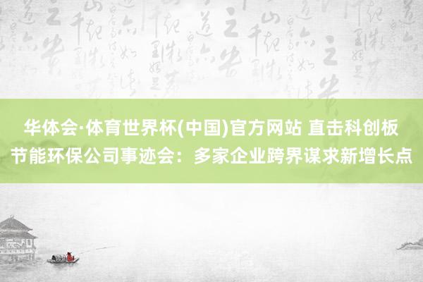 华体会·体育世界杯(中国)官方网站 直击科创板节能环保公司事迹会：多家企业跨界谋求新增长点