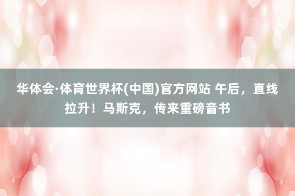 华体会·体育世界杯(中国)官方网站 午后，直线拉升！马斯克，传来重磅音书