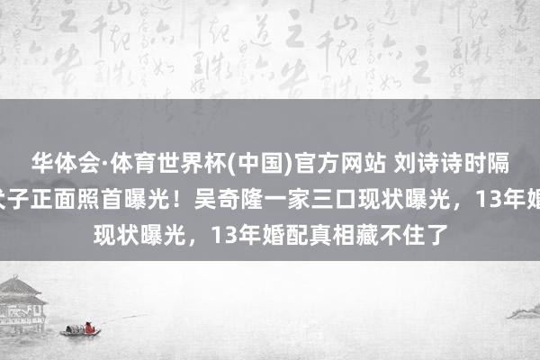 华体会·体育世界杯(中国)官方网站 刘诗诗时隔半年出头,6岁犬子正面照首曝光!吴奇隆一家三口现状曝光,13年婚配真相藏不住了