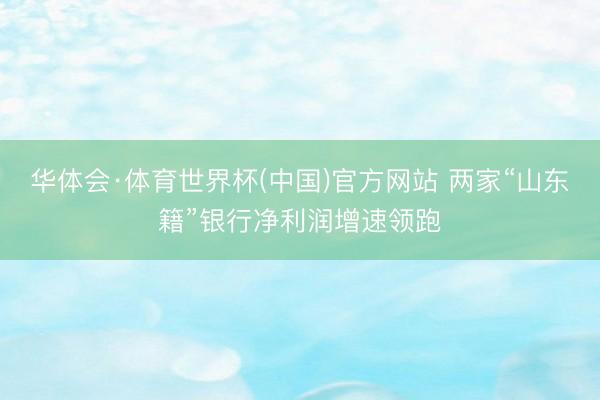 华体会·体育世界杯(中国)官方网站 两家“山东籍”银行净利润增速领跑