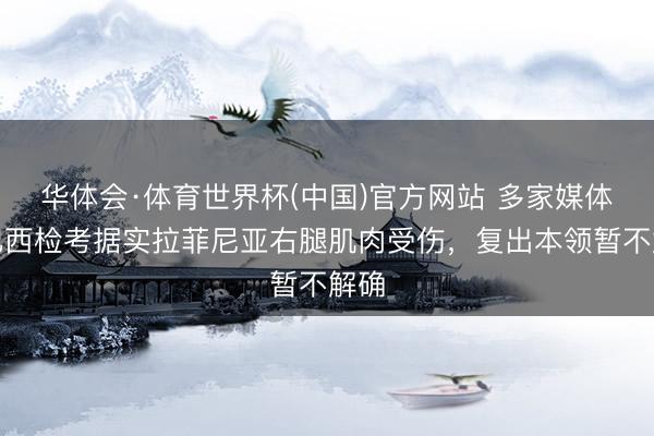 华体会·体育世界杯(中国)官方网站 多家媒体：巴西检考据实拉菲尼亚右腿肌肉受伤，复出本领暂不解确