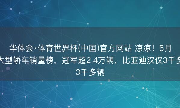 华体会·体育世界杯(中国)官方网站 凉凉!5月中大型轿车销量榜,冠军超2.4万辆,比亚迪汉仅3千多辆